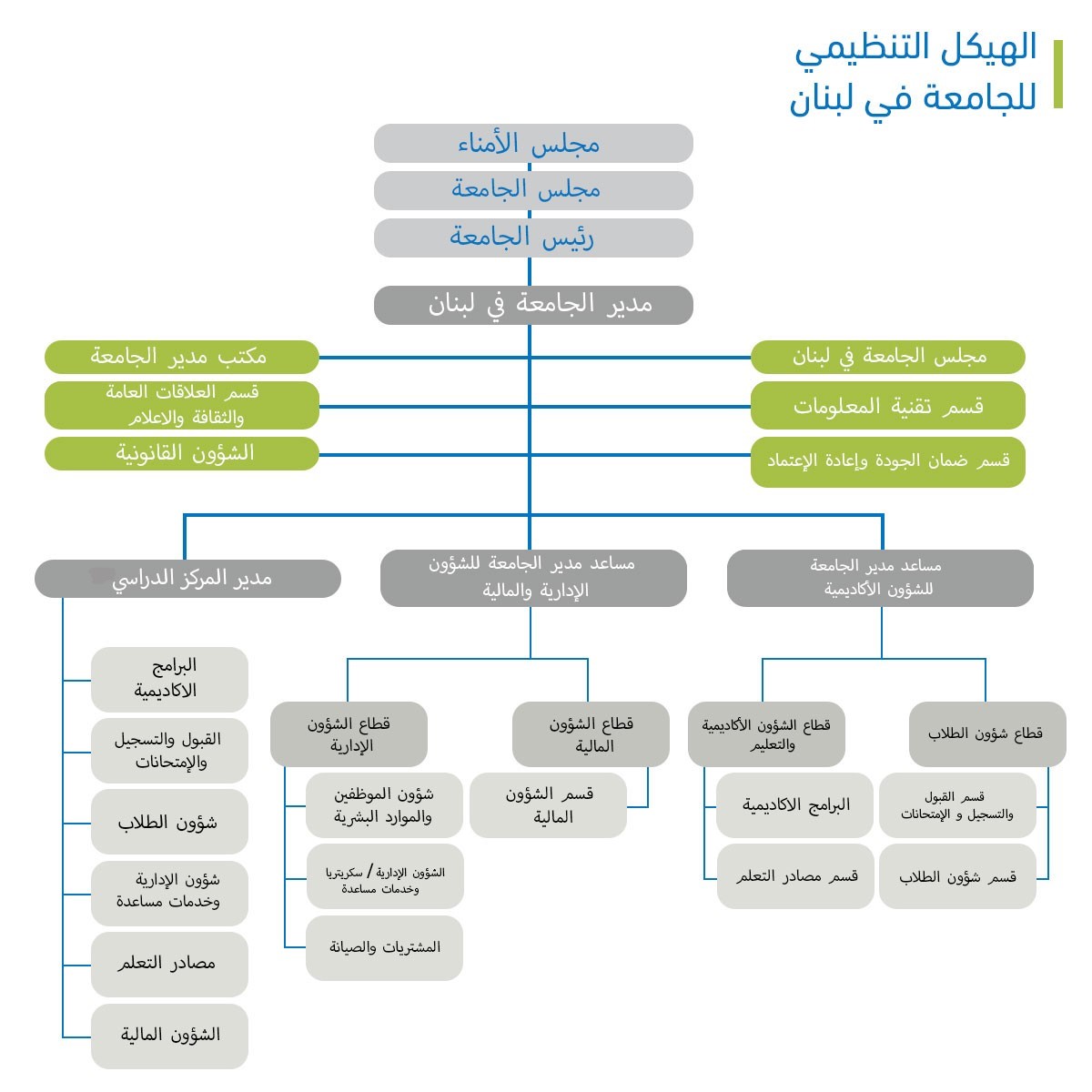 Organisational-chart--website-Arabic.jpg